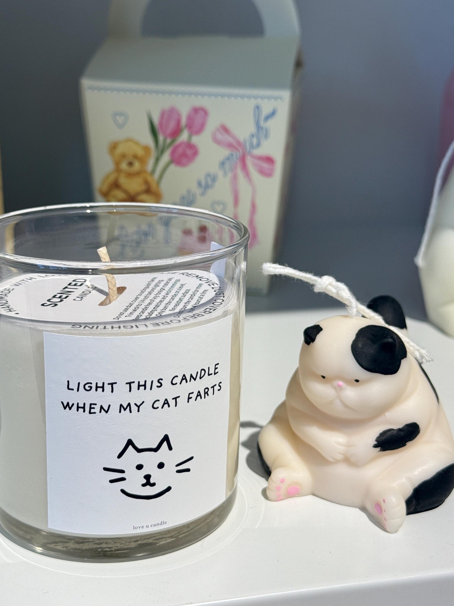 16oz Frog Glass Cup Set, frog gift, chubby frog, gift for frog lover, hand wash only